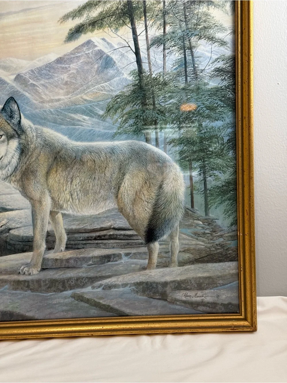 Ruane Manning striking wolf